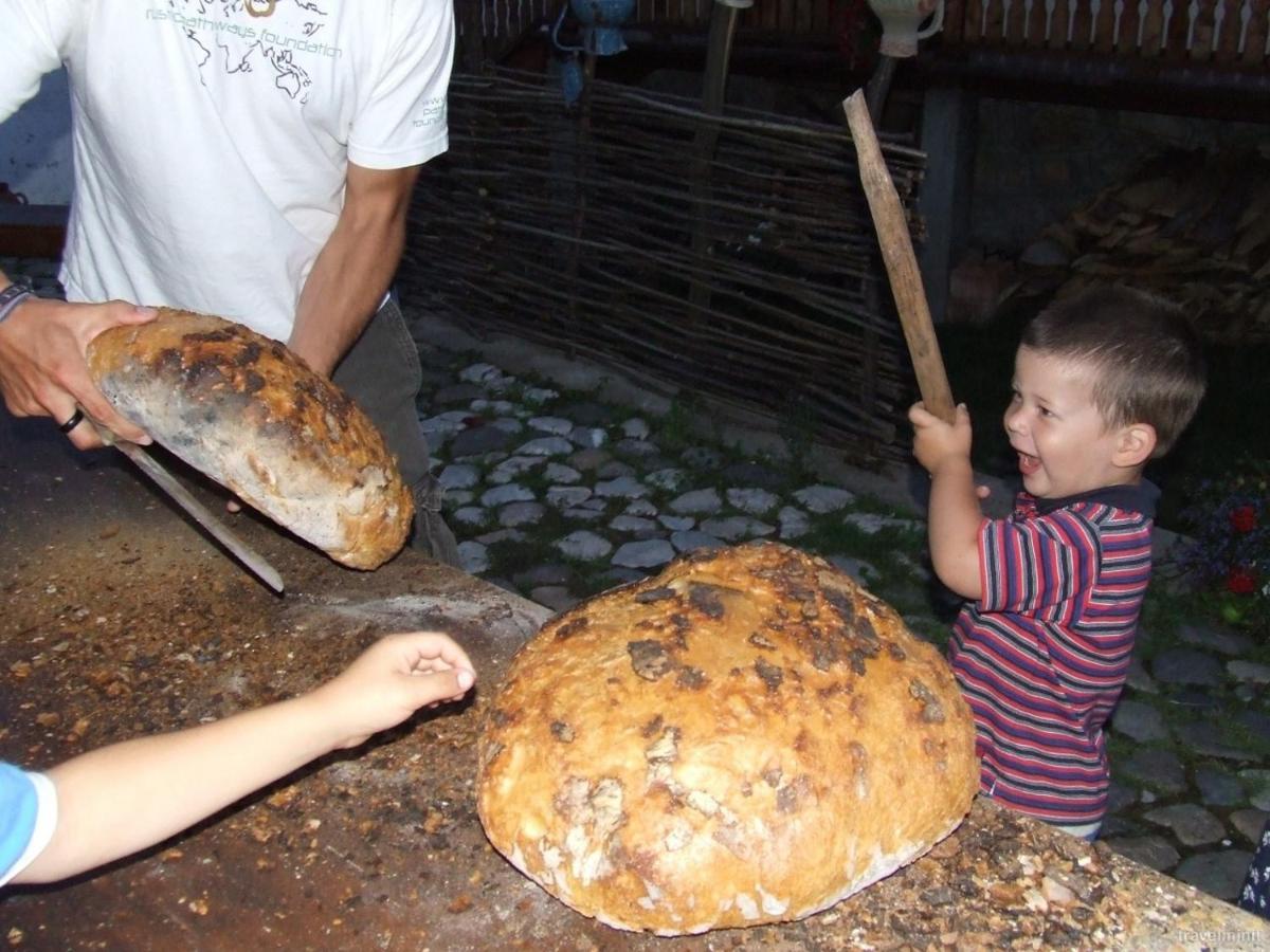 Pensiunea Aranyos Rimetea Ngoại thất bức ảnh