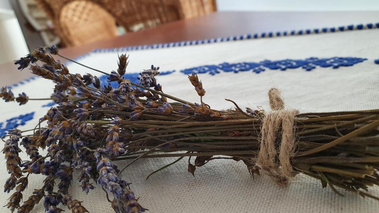 Pensiunea Aranyos Rimetea Ngoại thất bức ảnh